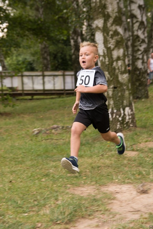 img00011.jpg
